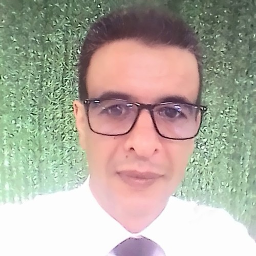 AbdelAli N.