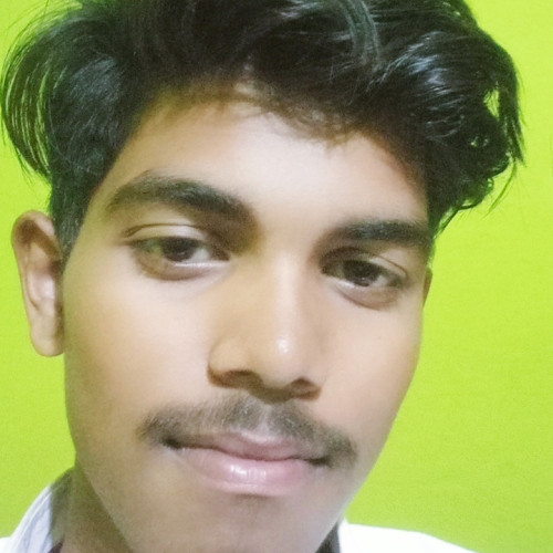 Sriraj S. profile photo