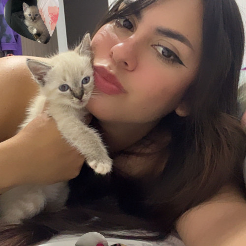 Nicole C. profile photo