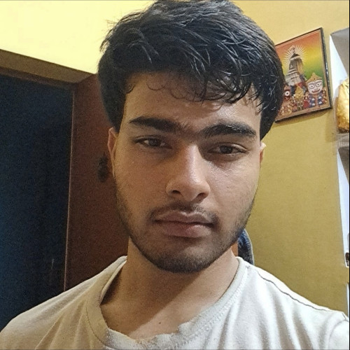 Ayush P. profile photo