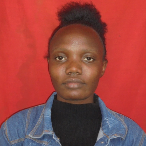 judith n. profile photo