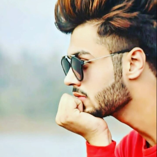 Rajveer S. profile photo