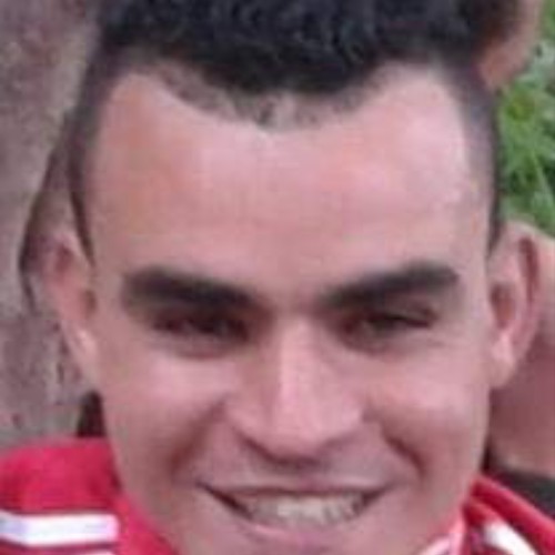 Laouini A. profile photo