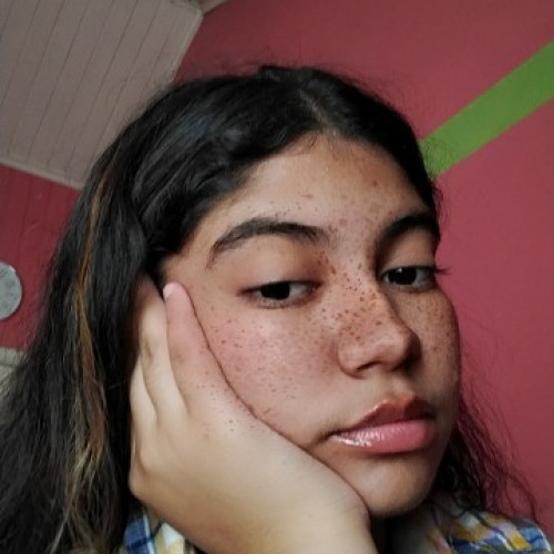 hafsa D. profile photo