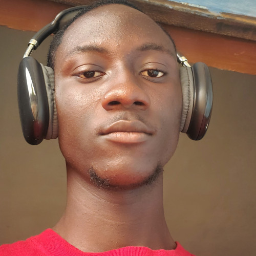 Olamide A. profile photo