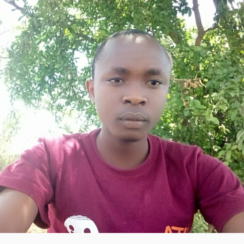 Kelvin M. profile photo