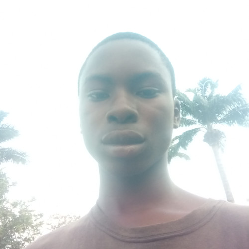 Aleke  S. profile photo