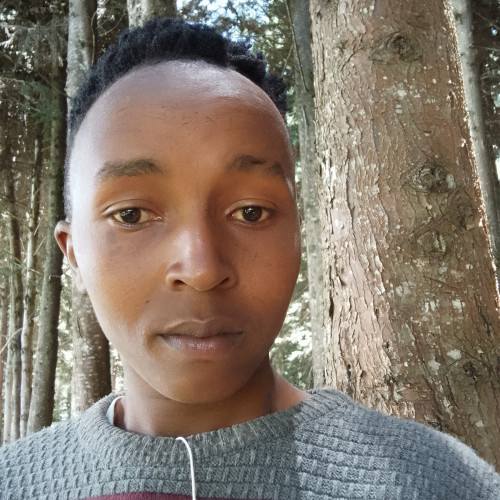 Sharkie  M. profile photo