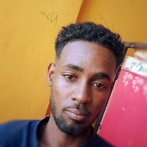 Henok W. profile photo