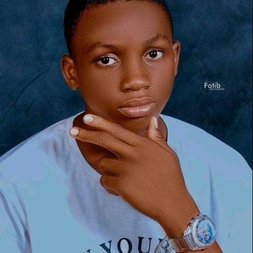 Kingsley O. profile photo