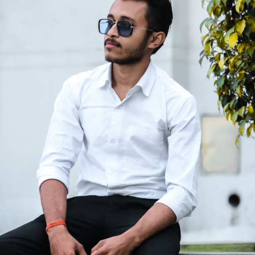 Ramnarayan  P.