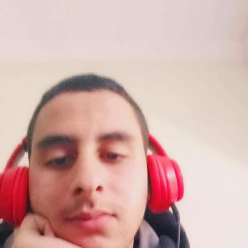 Taoufik E.