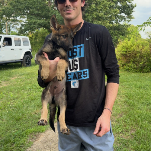 Navy L. profile photo