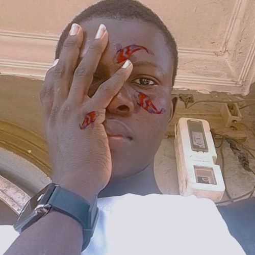 Ayoola A. profile photo