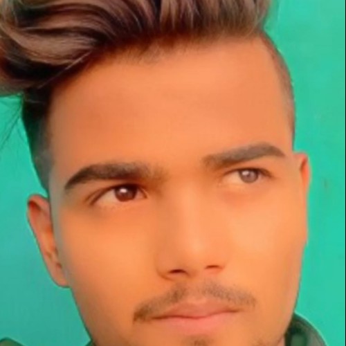 Ayush M. profile photo