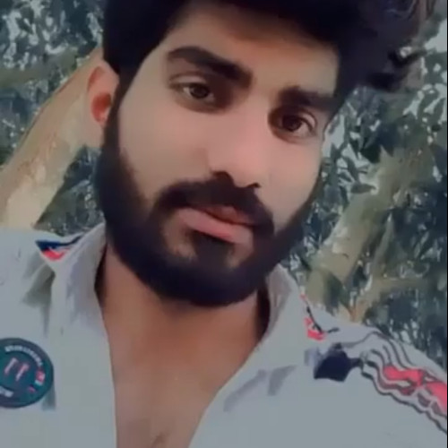 Bijendra  K. profile photo