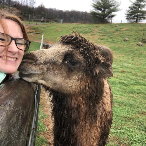 Casey P. profile photo