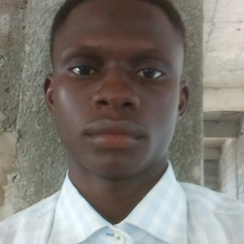Alaneme Arnold  C.