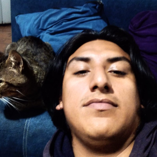 flavio s. profile photo