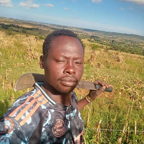 Collins K. profile photo