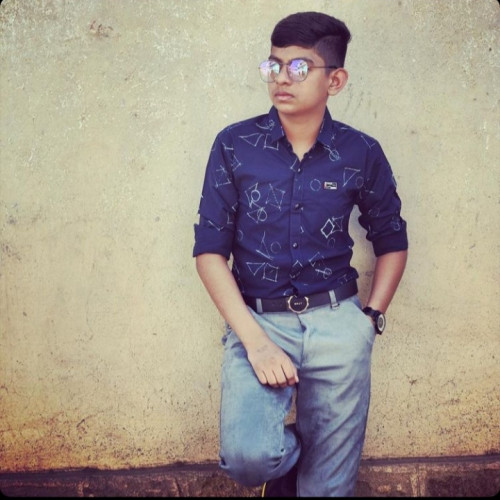 Virendrasinh  P. profile photo