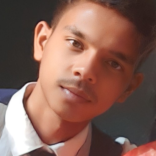 Kartik G.