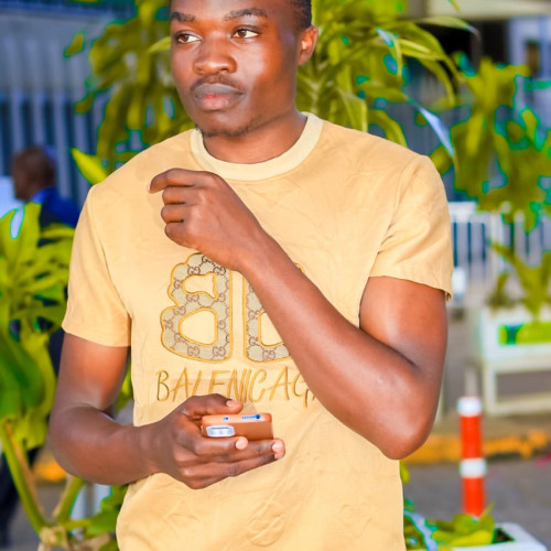 Newton  N. profile photo