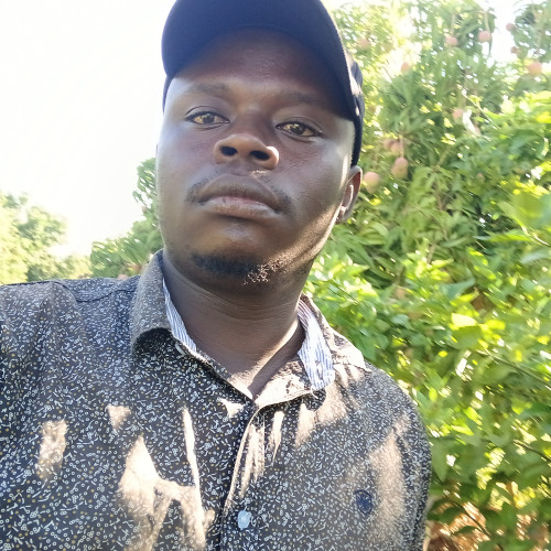 Mulwa I. profile photo