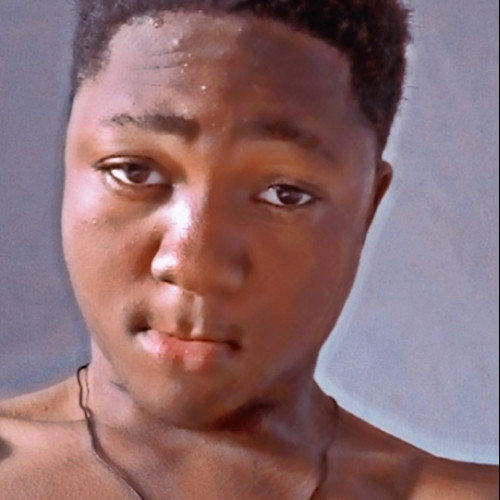 Dolapo  A. profile photo
