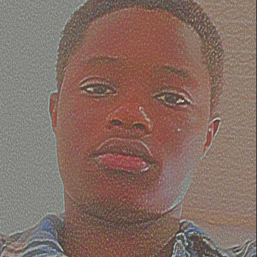 Salifu ThankGod E. profile photo