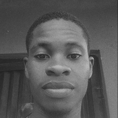 Emmanuel N. profile photo