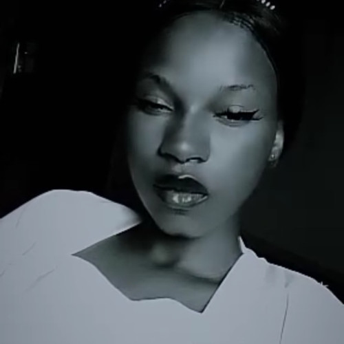 Zenith S. profile photo