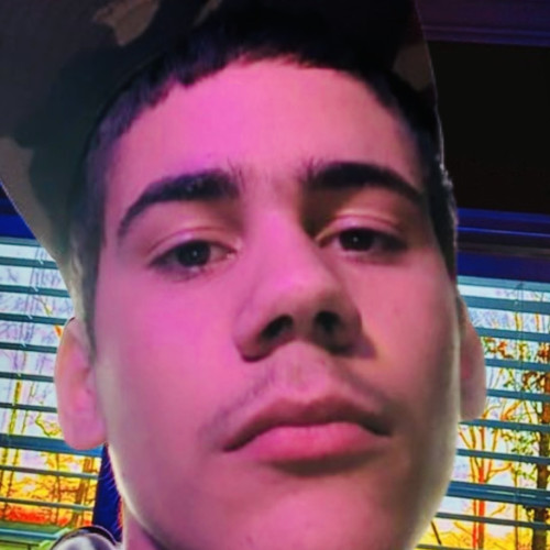 Sebastian  C. profile photo