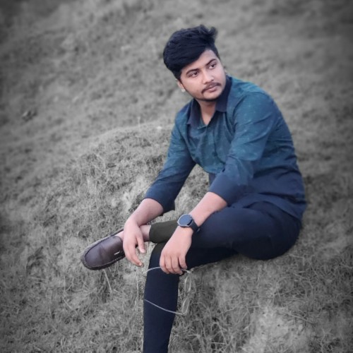 Mehedi  H.