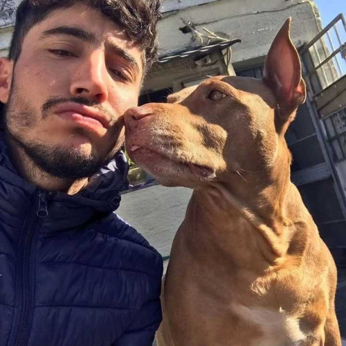 Federico N. profile photo
