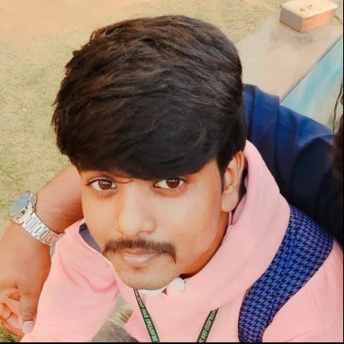 Puppala Harsha V.