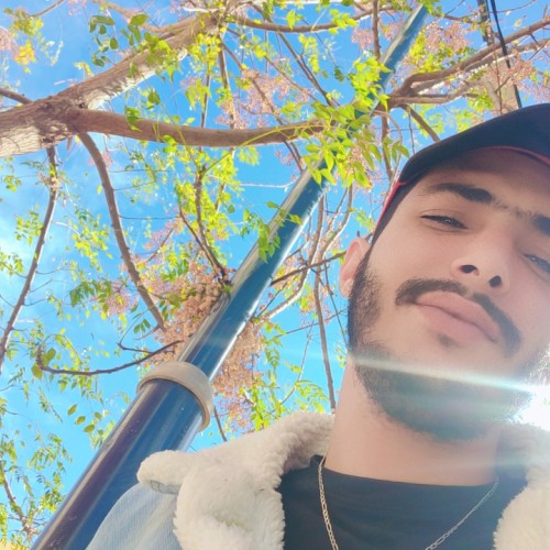 Amine R. profile photo