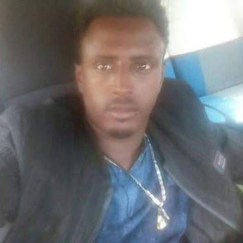 Ahmed N. profile photo