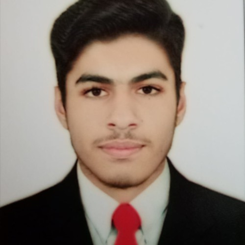 Muhammad Fahad S.
