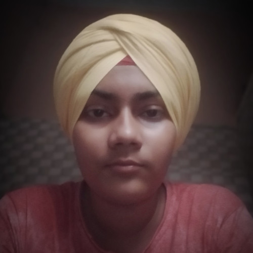 Sukhmanpreet  S. profile photo
