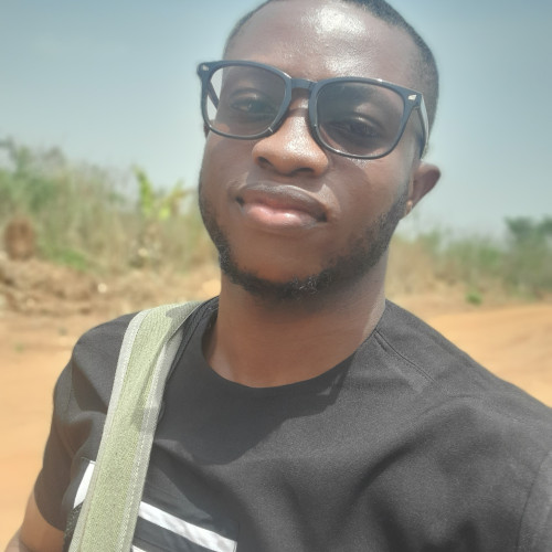 Avwerosuoghene Hanniel  I. profile photo