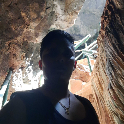 Donna S. profile photo