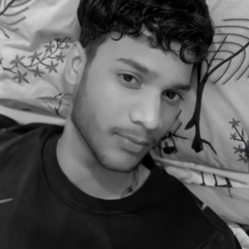 Narayan V. profile photo