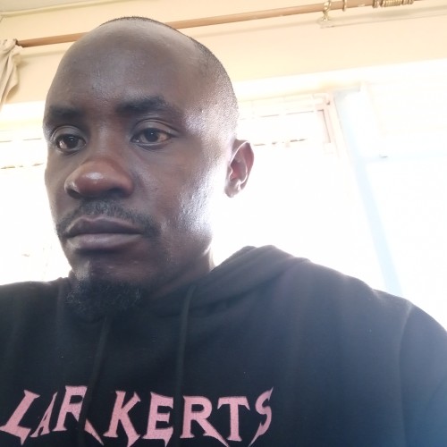 martin  d. profile photo