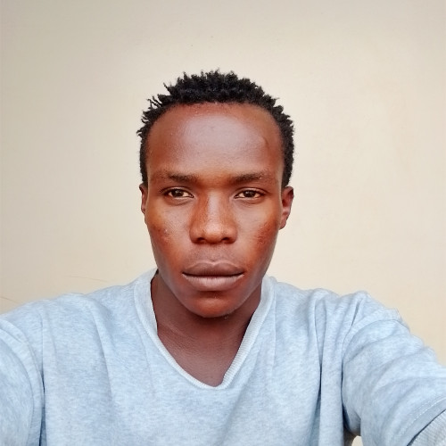 Zemeri  D. profile photo