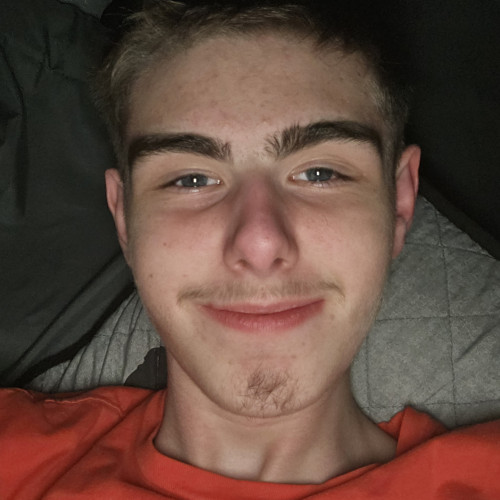Mike A. profile photo