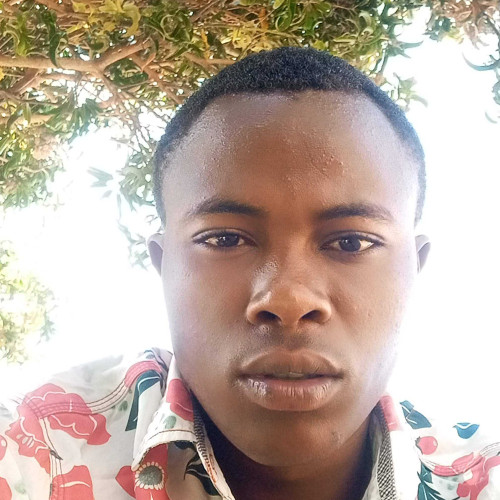 Simon M. profile photo