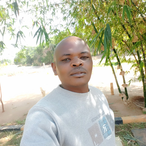 DENIS K. profile photo