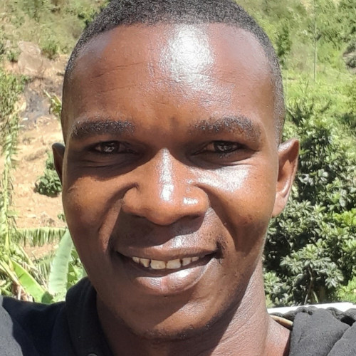 Lewis M. profile photo