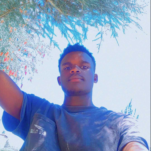 Collins N. profile photo